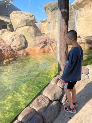 Visiting the Otters