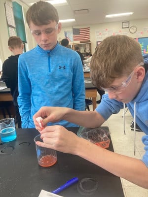 Eighth Graders Learn About DNA By Extracting It From Strawberries