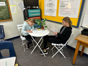 Sixth Graders Analyzing and Enjoying a Good Novel
