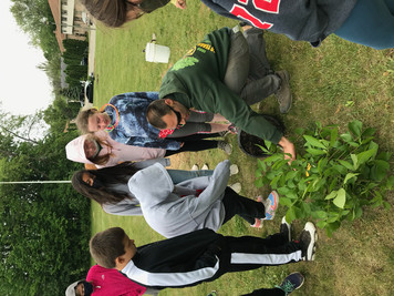 Canterbury Students Planting Trees