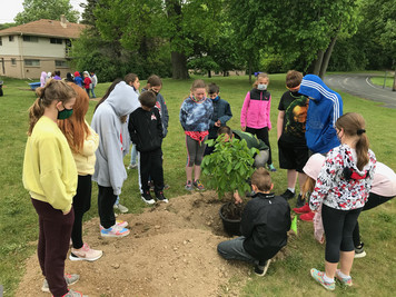 Canterbury Students Planting Trees