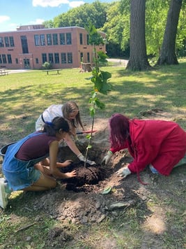 GMS Students Planting Trees