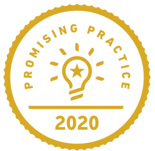 Promising Practices Badge 2020