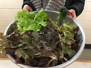 Lettuce Bowl