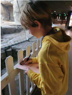 Third Graders Are Becoming Animal Experts
