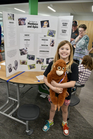 STEAMFest Showcases Students' Hard Work and Learning