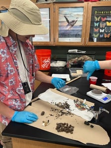 Oceanography Students Discover Albatross From Pacific Eat a Lot of Plastic