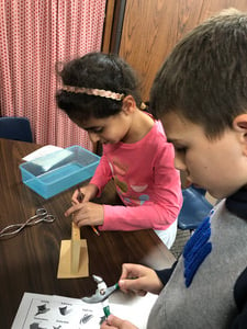 Third Grade Studying Birds' Beak Adaptations