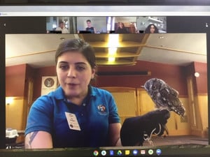 AP Enviro Science Classes Take Digital Field Trip on Owls