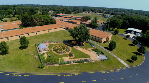 Aerial View of Garden